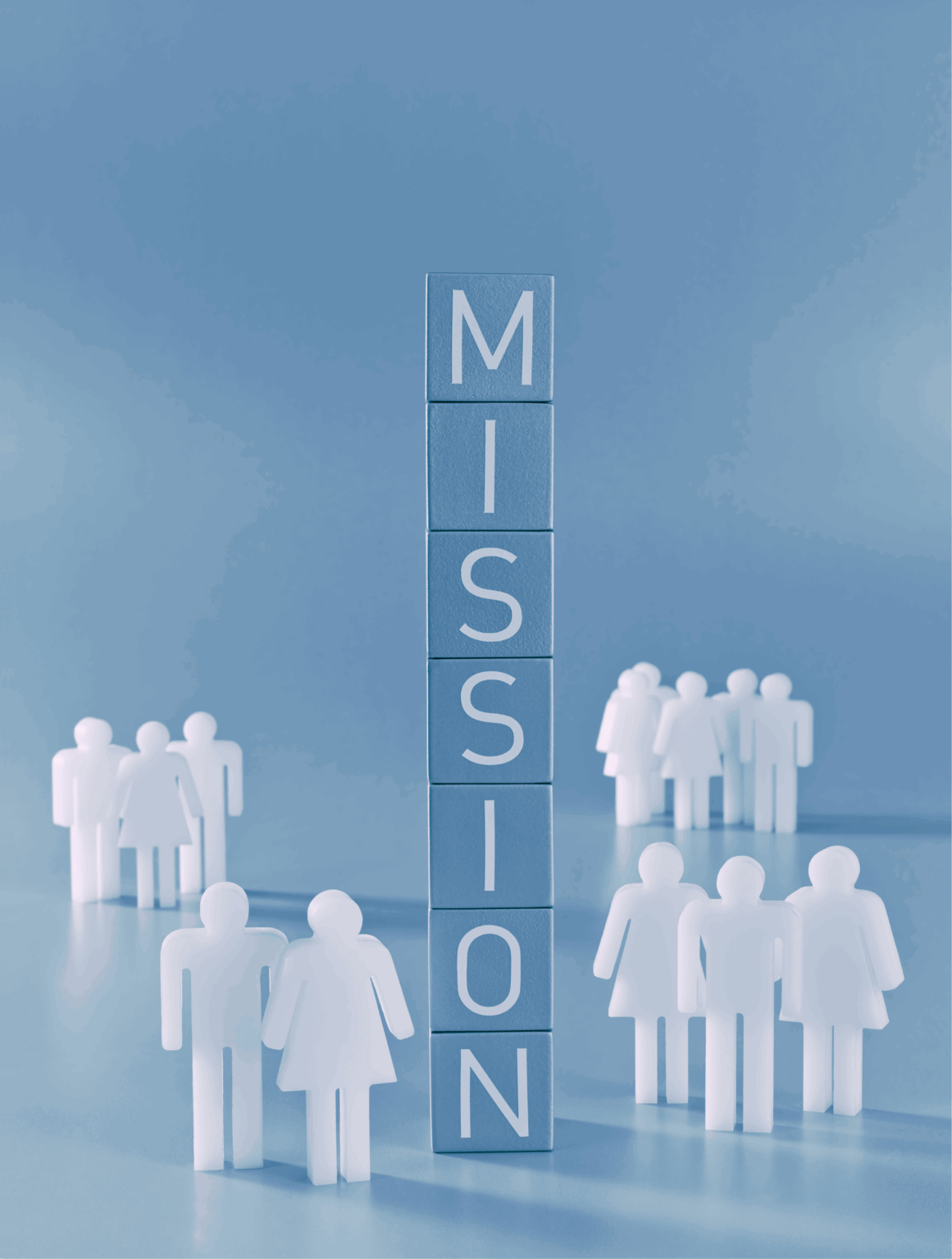 Manali NV Mission